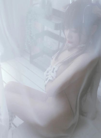 番茄视频在线观看