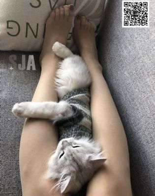 无子无忧