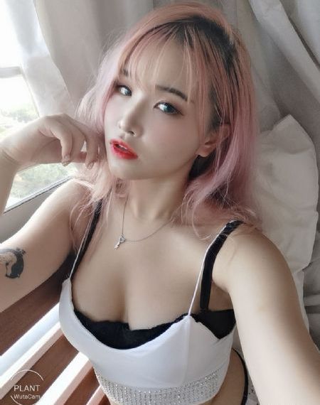 夏日奇妙书
