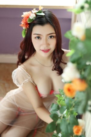 孤芳不自赏电视剧免费观看完整版