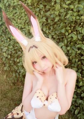 梦想成为魔法少女免费观看全集