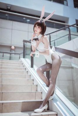 电视剧家有九凤全集在线观看