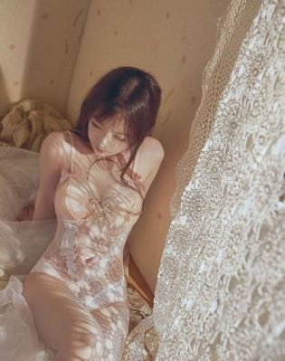 双面女间谍第一季